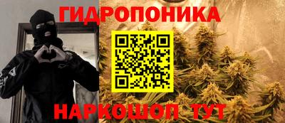 гашик Малгобек