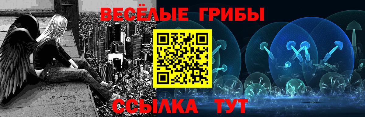Уссурийск  Галлюциногенные грибы GOLDEN TEACHER  Вход с VPN 